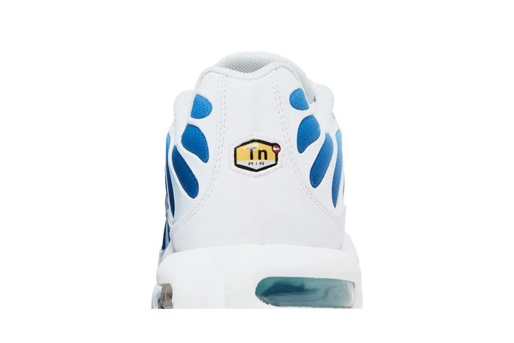 Кроссовки Nike Air Max Plus 'Sky Blue'