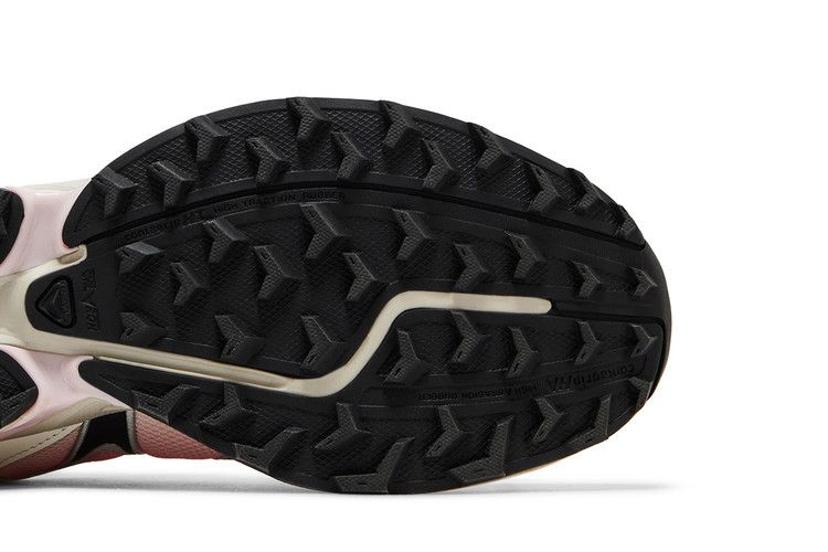 Кроссовки Salomon XT-Whisper 'Fairy Tale Black'