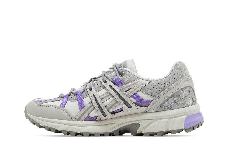 Кроссовки ASICS Wmns Gel Sonoma 15-50 'Glacier Grey Purple'