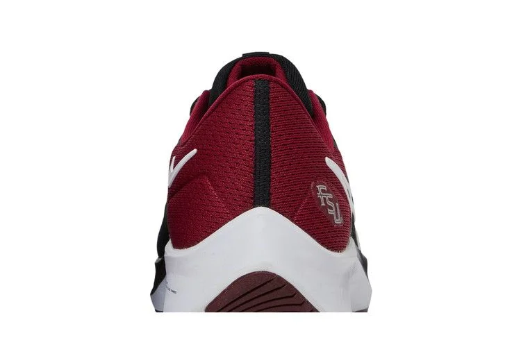 Кроссовки Nike Air Zoom Pegasus 38 'Florida State'