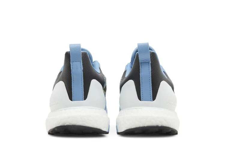 Кроссовки Adidas Copa UltraBoost DNA 'World Cup - Argentina'