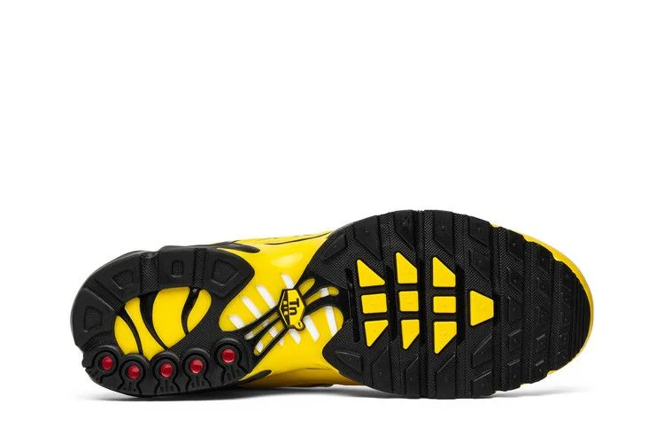 Кроссовки Nike Air Max Plus 'Frequency Pack'