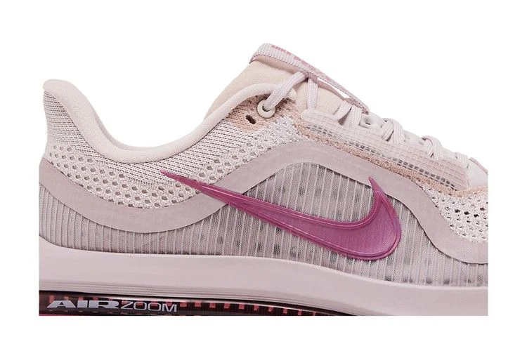 Кроссовки Nike Wmns Pegasus Premium 'Silt Red Particle Rose'