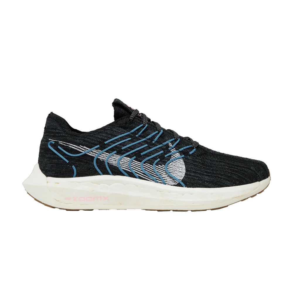 Кроссовки Nike Wmns Pegasus Turbo Next Nature 'Black Noise Aqua'