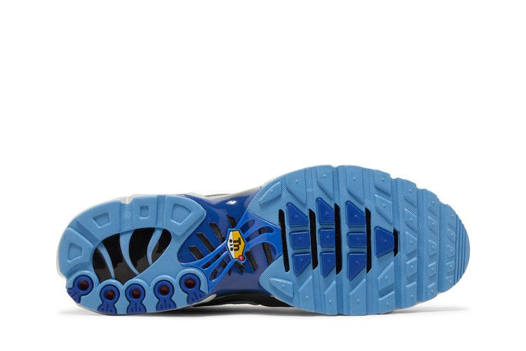 Кроссовки Nike Air Max Plus 'Black Royal Blue'