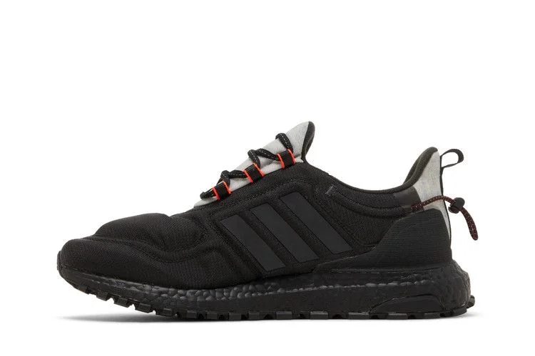 Кроссовки adidas UltraBoost Cold.RDY Lab 'Black Carbon'