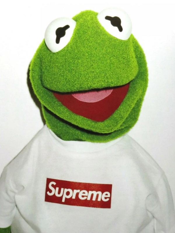 Книга Supreme: Downtown New York Skate Culture