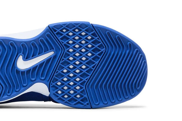 Кроссовки Nike LeBron Witness 8 TB 'Game Royal'
