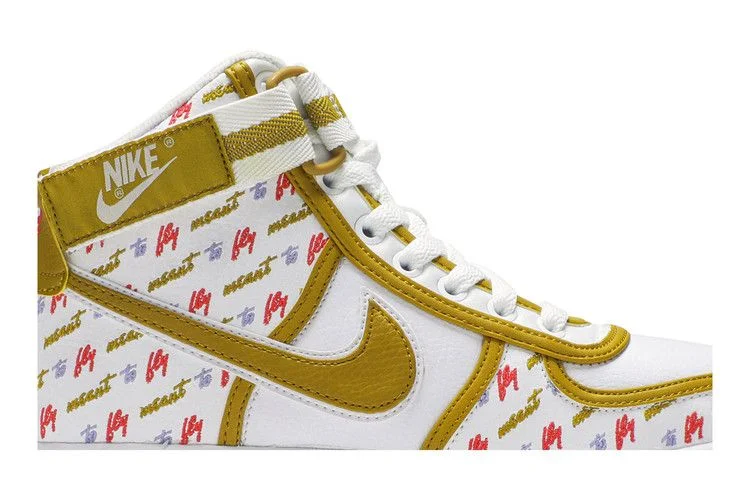 Кроссовки Nike Wmns Vandal High LX 'Meant to Fly'