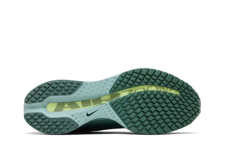 Кроссовки Nike Pegasus Premium 'Cannon'