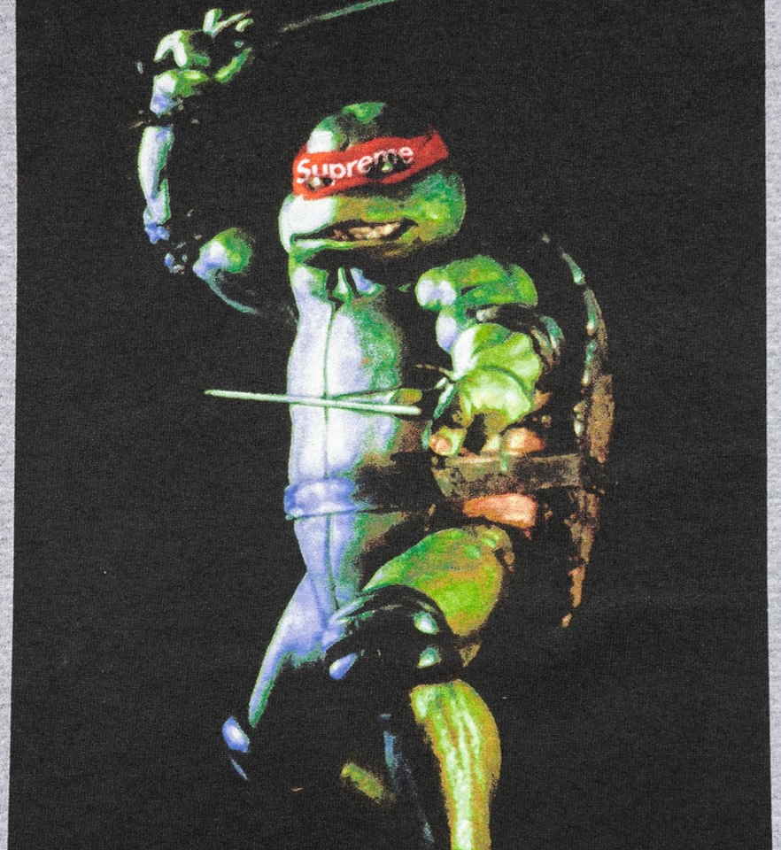 Футболка Supreme Raphael Tee Grey