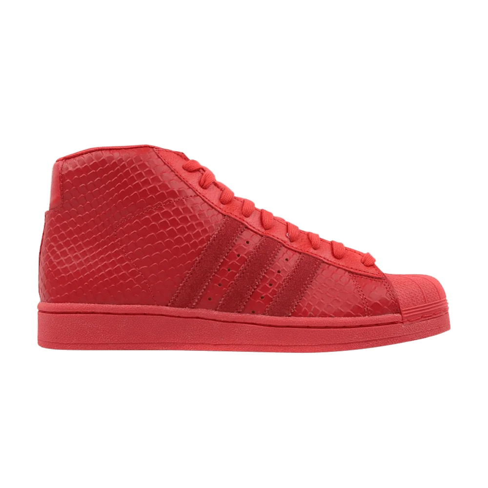Krossovki-Adidas-Pro-Model-Shell-Toe-Snakeskin-Tomato-Red