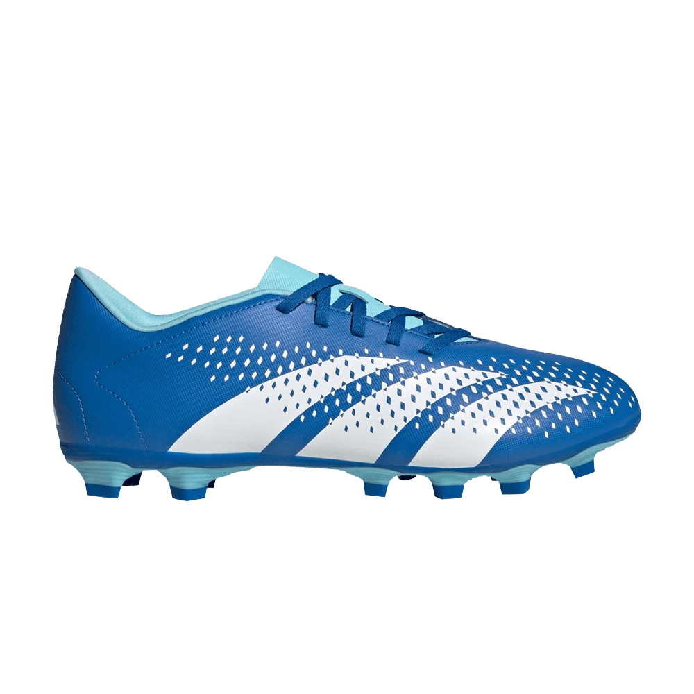Кроссовки Adidas Predator Accuracy.4 FG 'Marinerush Pack'