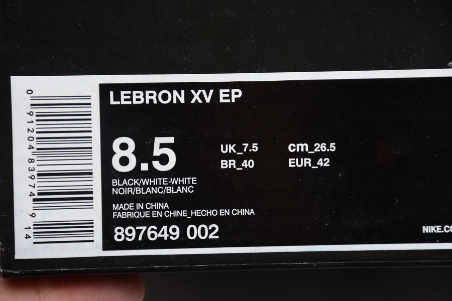 LeBron-15-Ashes-5