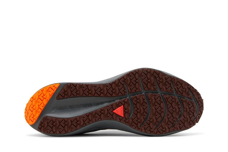 Кроссовки Nike Winflo 8 Shield 'Bronze Eclipse Redstone'