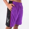 Mitchell-Ness-Toronto-Raptors-1999-00-Hardwood-Classics-Throwback-Swingman-NBA-Shorts-1-100x100