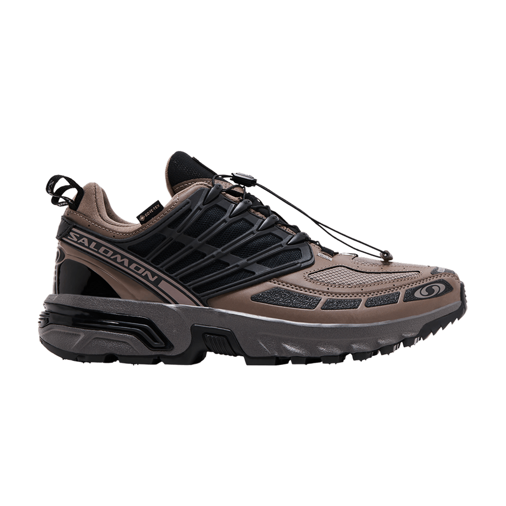 Кроссовки Salomon ACS Pro GORE-TEX 'Iron Plum Kitten'