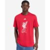 Liverpool-FC-adidas-Mens-25-26-DNA-Crest-Tee-Red-100x100
