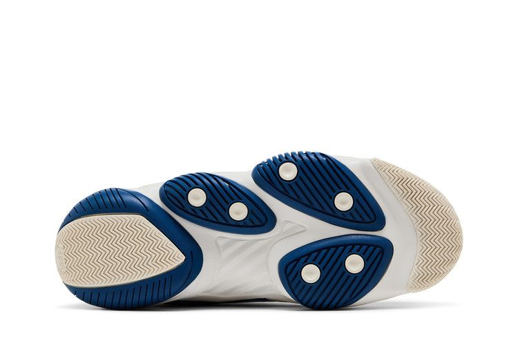 Кроссовки adidas Top Ten 2010 'Velour Tracksuit - Blue'