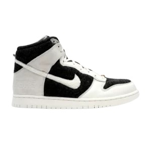 dunk-high-destroyers-315670-011-300x300
