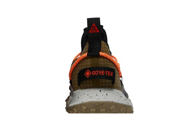 Кроссовки Nike ACG Mountain Fly Low GTX SE 'Hazel Rush'