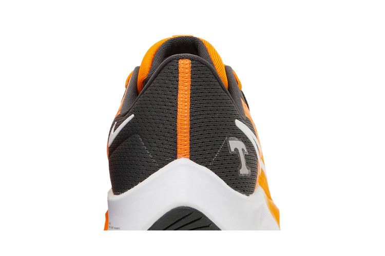 Кроссовки Nike Air Zoom Pegasus 38 'Tennessee'