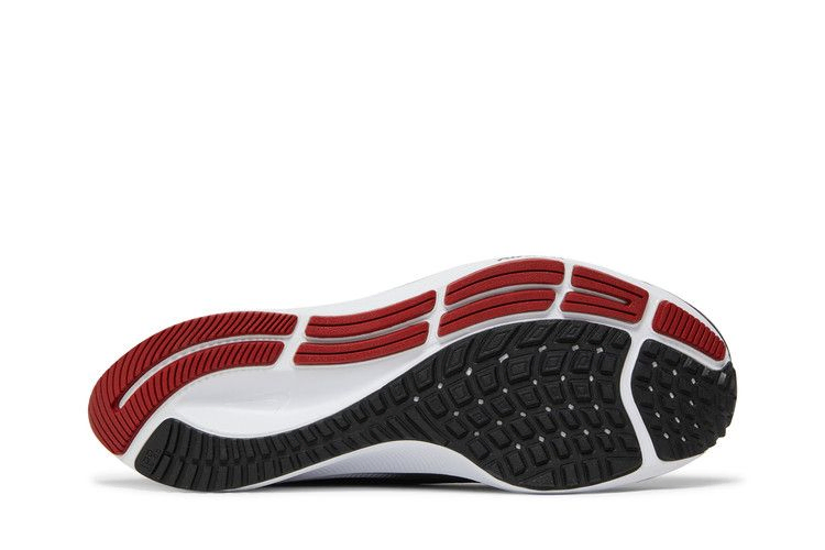 Кроссовки Nike Air Zoom Pegasus 38 'Ohio State'