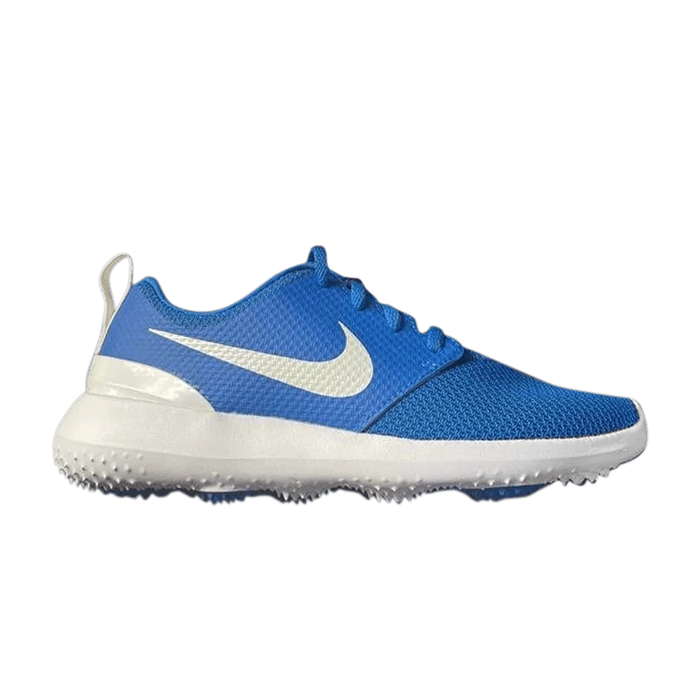 Krossovki-Nike-Roshe-Golf-GS-Blue