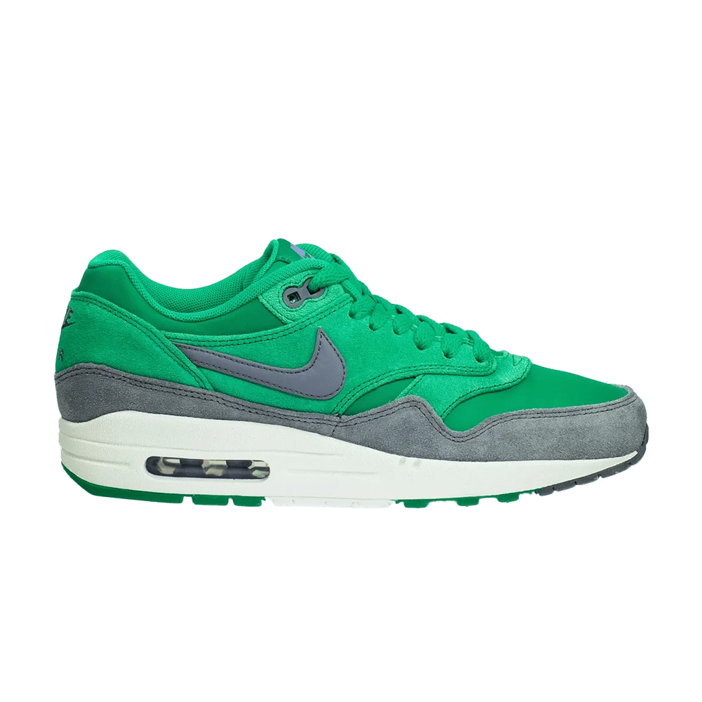 Krossovki-Nike-Air-Max-1-Premium-Stadium-Green