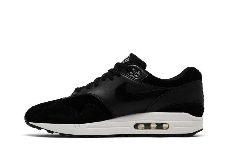 Кроссовки Nike Air Max 1 Premium 'Rebel Skulls'