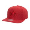 Mitchell-Ness-Monochromatic-Snapback-HWC-Philadelphia-76ers-100x100