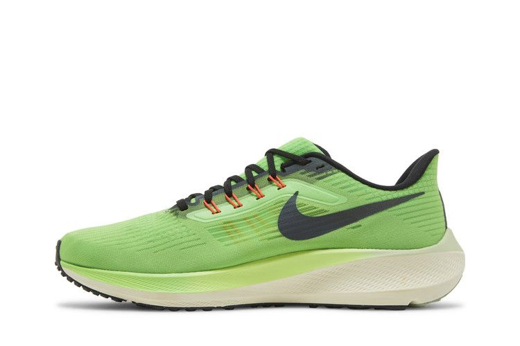 Кроссовки Nike Air Zoom Pegasus 39 'Ekiden Zoom Pack'