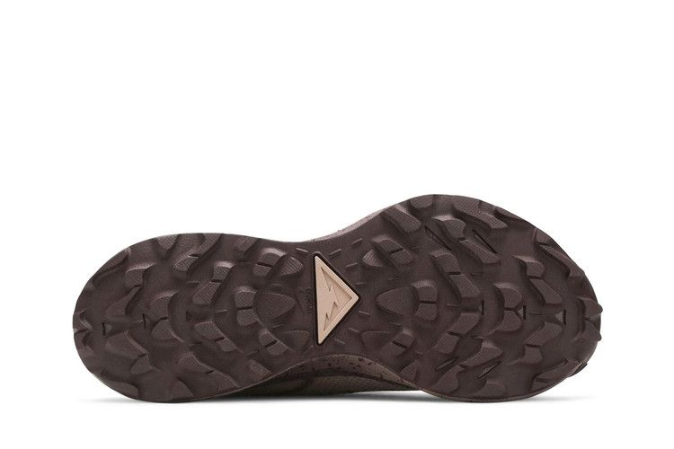 Кроссовки Nike Wmns Pegasus Trail 2 Gore-Tex 'Desert Dust Mauve'
