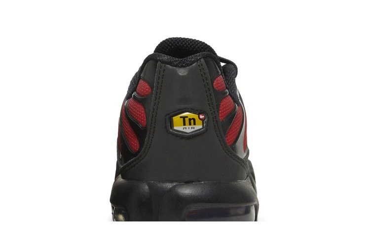 Кроссовки Nike Air Max Plus GS 'Bred Gradient'