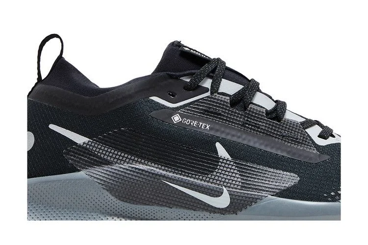 Кроссовки Nike Pegasus Trail 5 GORE-TEX 'Black Wolf Grey'