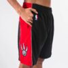 Mitchell-Ness-Toronto-Raptors-2012-13-Hardwood-Classics-Throwback-Swingman-NBA-Shorts-1-100x100