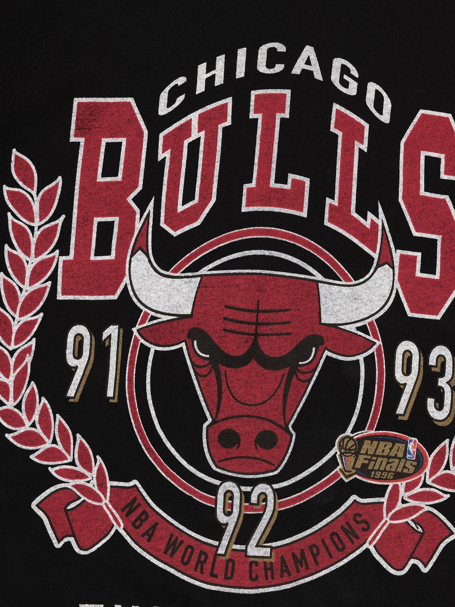 Футболка Mitchell & Ness Chicago Bulls Vintage Arch T-Shirt