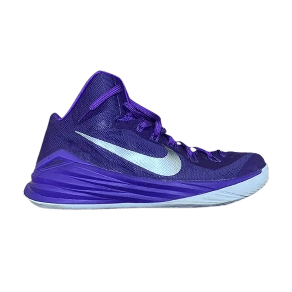Krossovki-Nike-Hyperdunk-2014-TB-Court-Purple