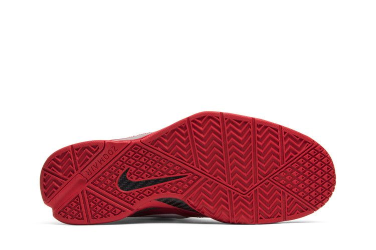 Кроссовки Nike Zoom Kobe 1 Protro 'DeMar Derozan' PE