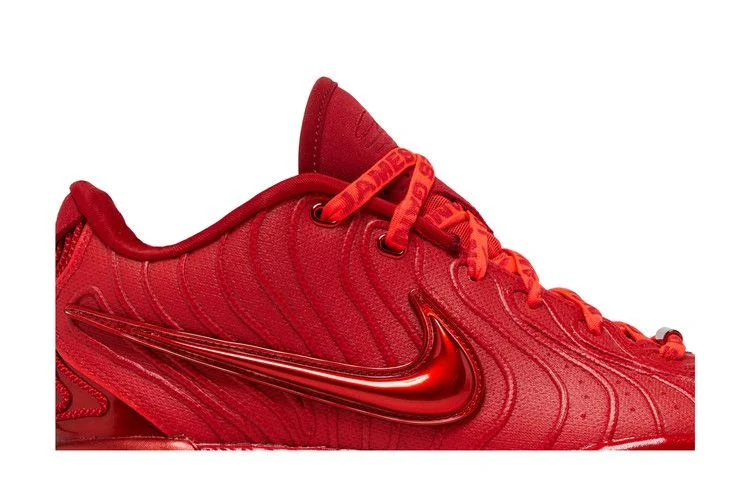 Кроссовки Nike LeBron 21 'James Gang'