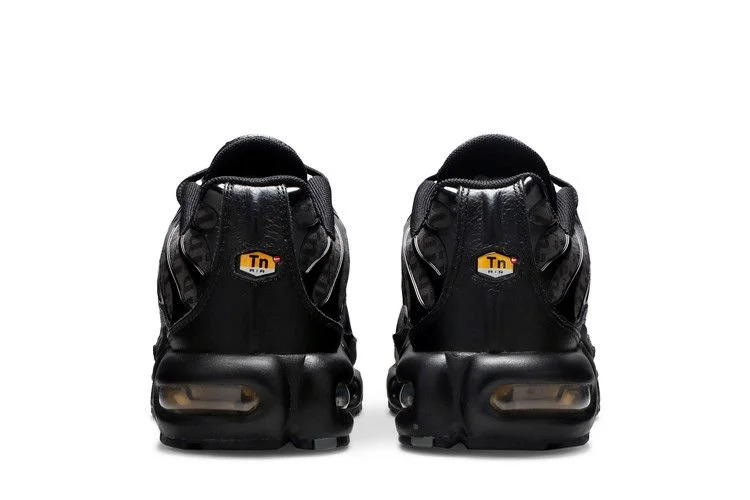 Кроссовки Nike Air Max Plus 'Black'