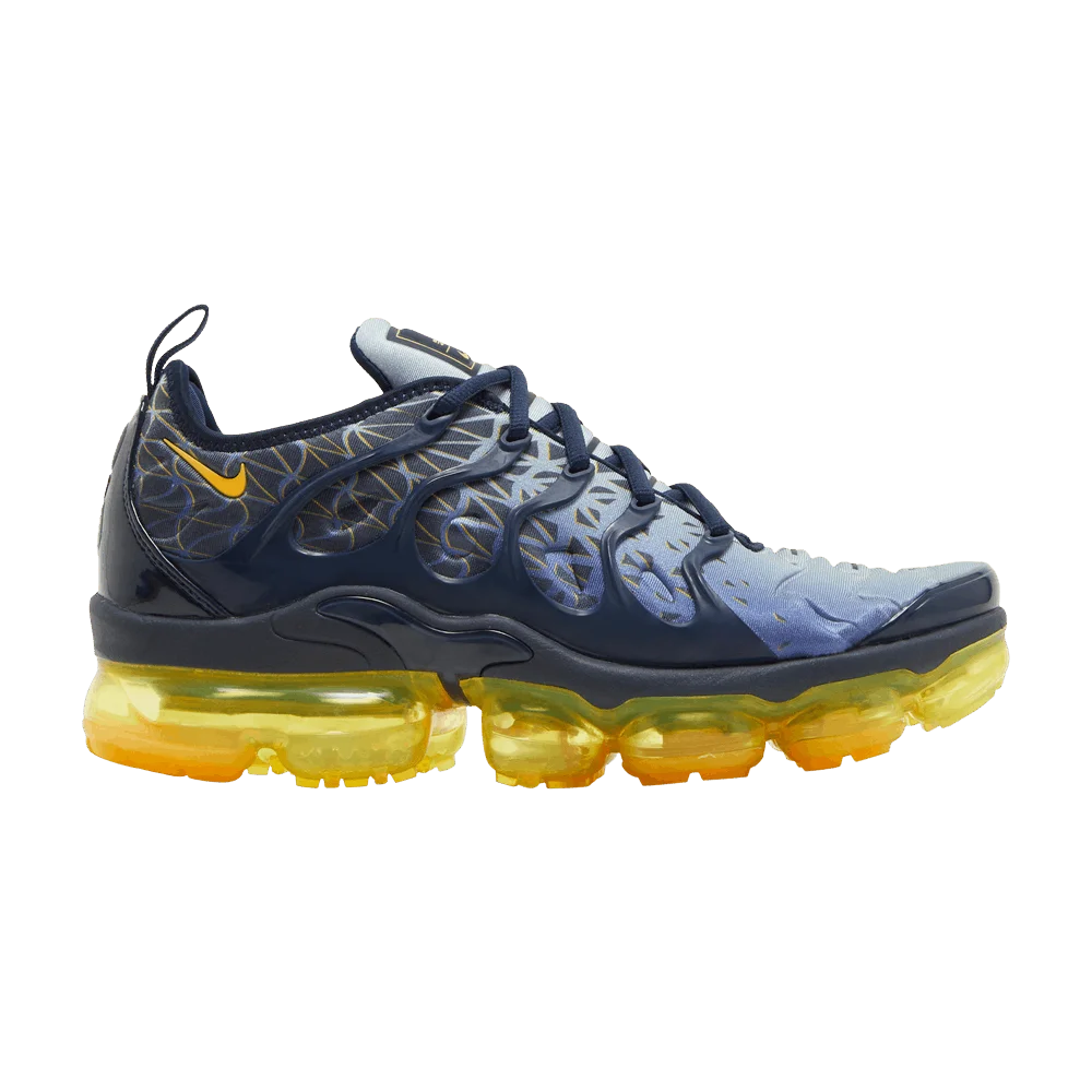 Krossovki-Nike-Air-VaporMax-Plus-Indigo-Storm