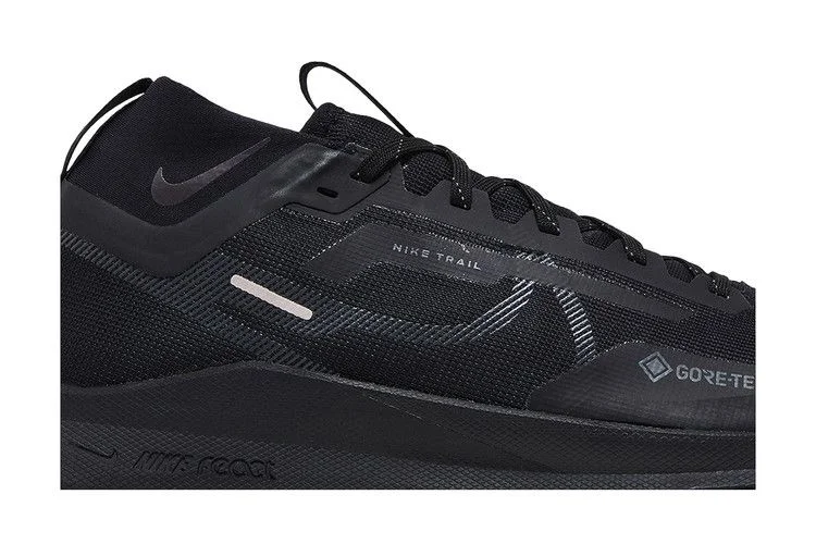 Кроссовки Nike React Pegasus Trail 4 GORE-TEX 'Black Anthracite'
