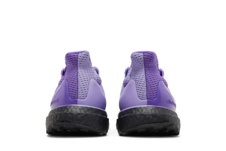 Кроссовки adidas UltraBoost 1.0 DNA 'Purple Tint'