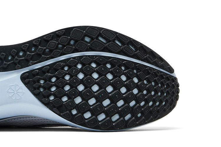 Кроссовки Nike Air Zoom Pegasus 41 EasyOn 'Pure Platinum Light Armory Blue'