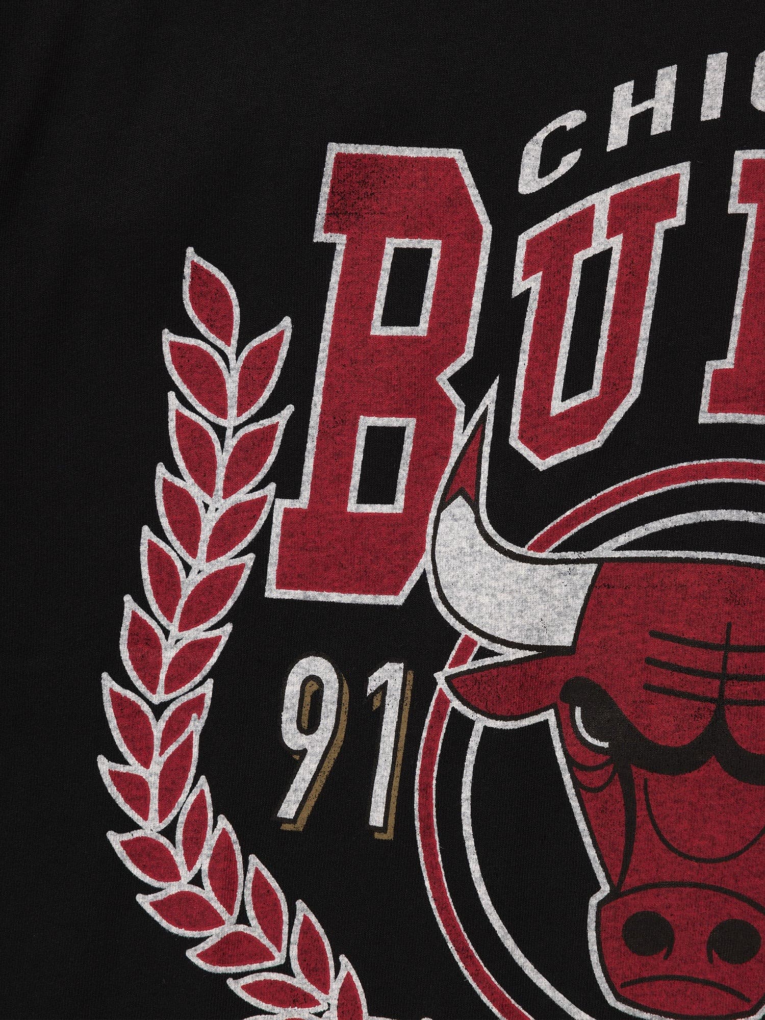 Футболка Mitchell & Ness Chicago Bulls Vintage Arch T-Shirt