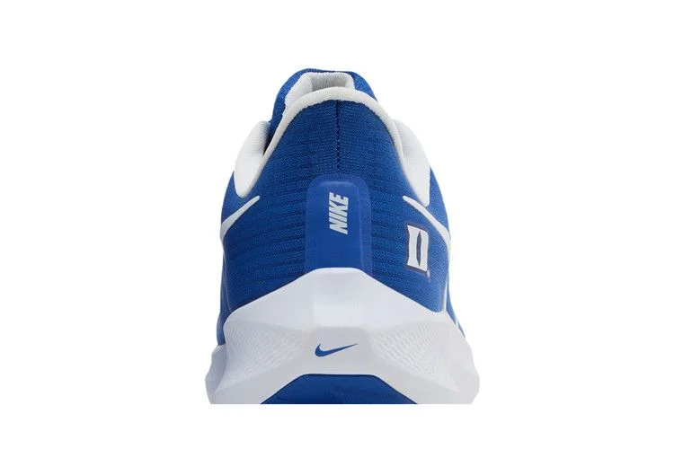 Кроссовки Nike Air Zoom Pegasus 39 'Duke'