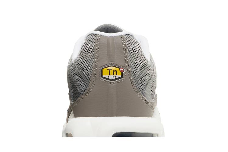 Кроссовки Nike Air Max Plus SE 'Flat Pewter'