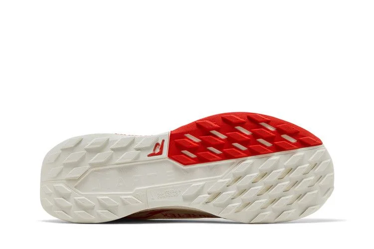 Кроссовки Nike Pegasus Trail 5 GORE-TEX 'Sail Picante Red'