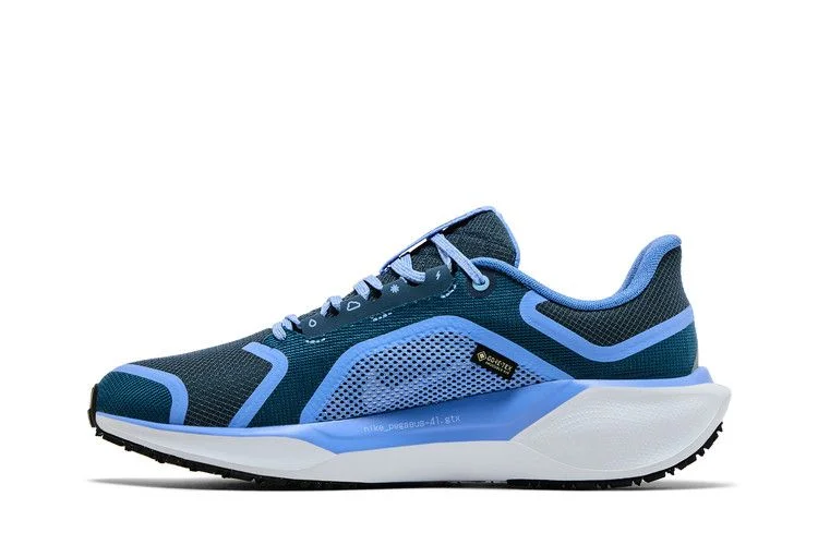Krossovki-Nike-Wmns-Air-Zoom-Pegasus-41-GORE-TEX-Cobalt-Bliss-2